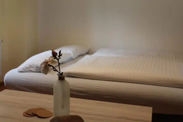 Murphys-1-Hotel-Harz-mit-Hund